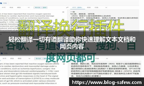 轻松翻译一切有道翻译助你快速理解文本文档和网页内容